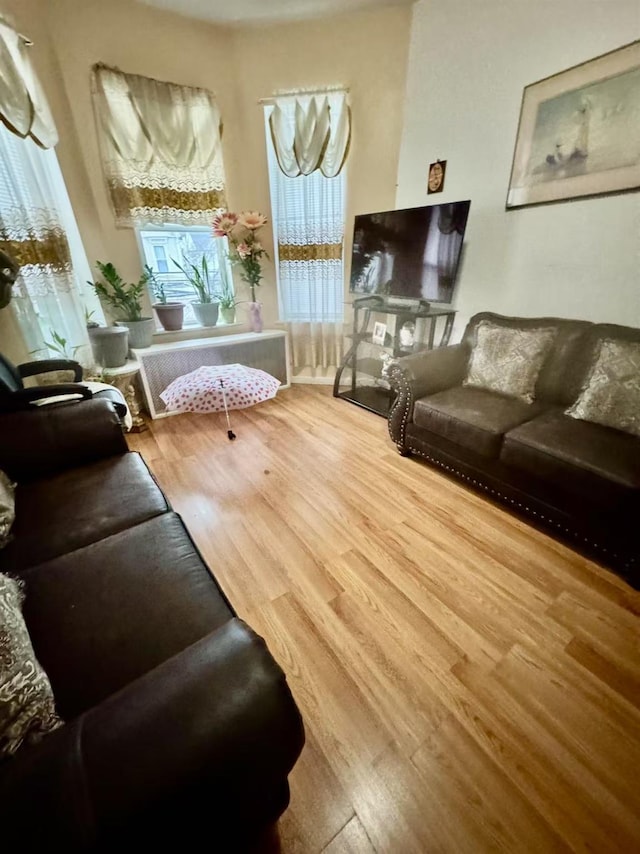 living room with hardwood / wood-style floors