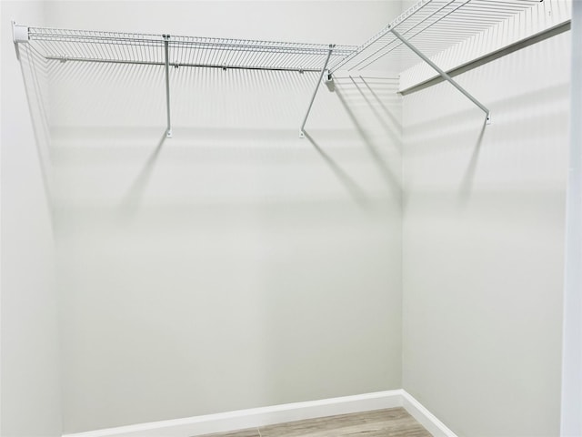 spacious closet with wood-type flooring