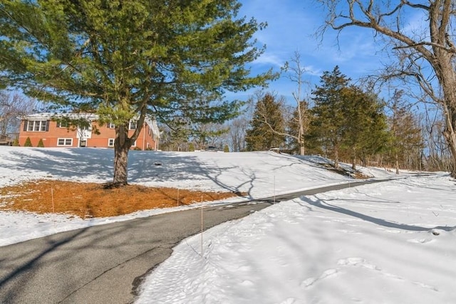 view of yard layered in snow