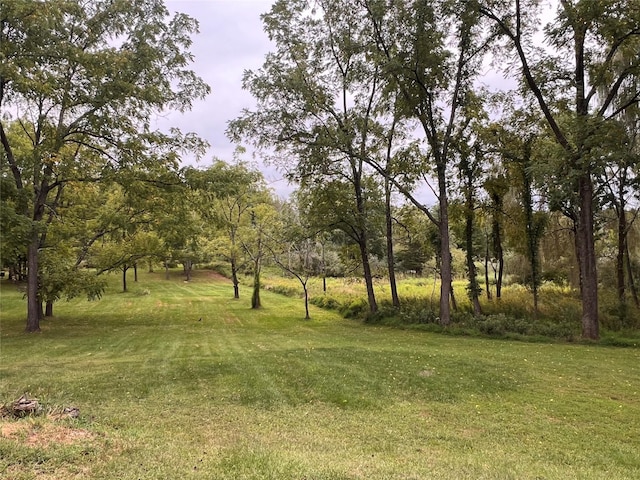 view of landscape