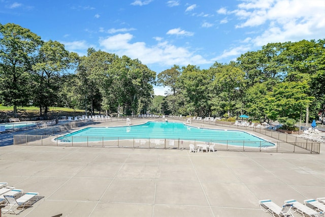 view of pool with a patio area