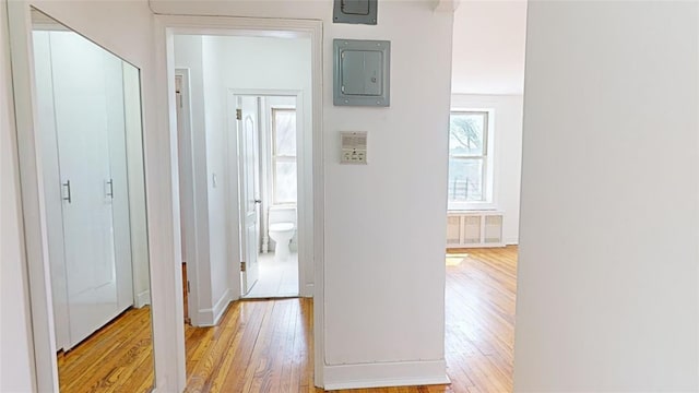 hall featuring electric panel and light hardwood / wood-style flooring