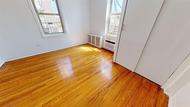 unfurnished room with light wood-type flooring and a wealth of natural light