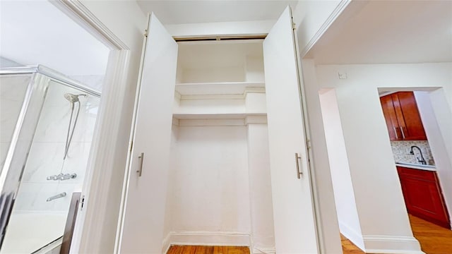 closet with sink