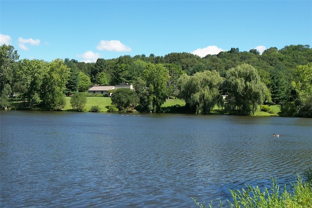 property view of water featuring a view of trees