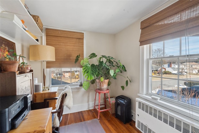 office space featuring baseboards, plenty of natural light, radiator heating unit, and wood finished floors