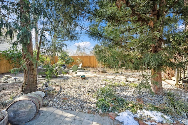 view of yard featuring a fenced backyard and a patio