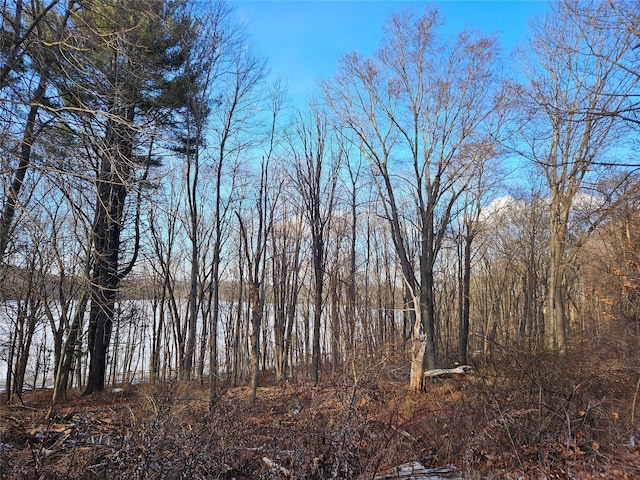 6 Willow Rd, Carmel, NY 10512
