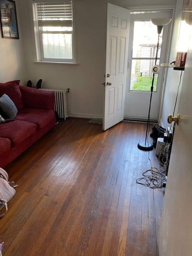 living room with radiator and hardwood / wood-style flooring