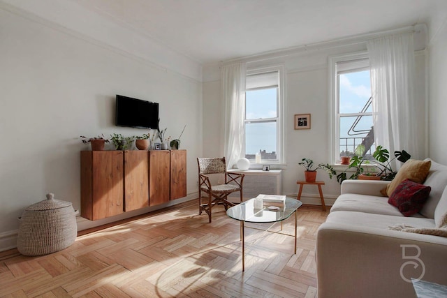 living room featuring light parquet flooring