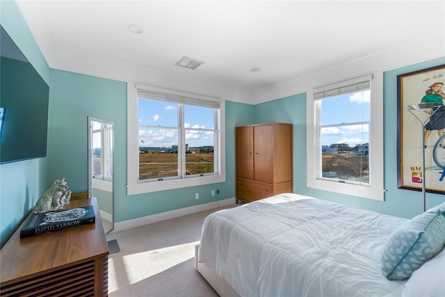 bedroom featuring multiple windows and carpet