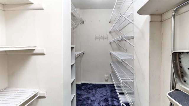 spacious closet featuring dark colored carpet