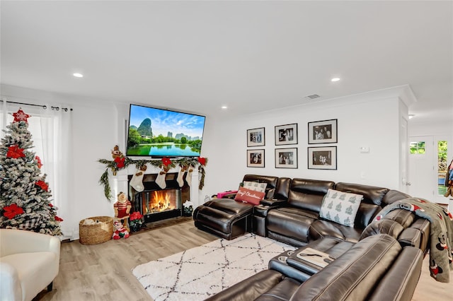 living room featuring light hardwood / wood-style floors