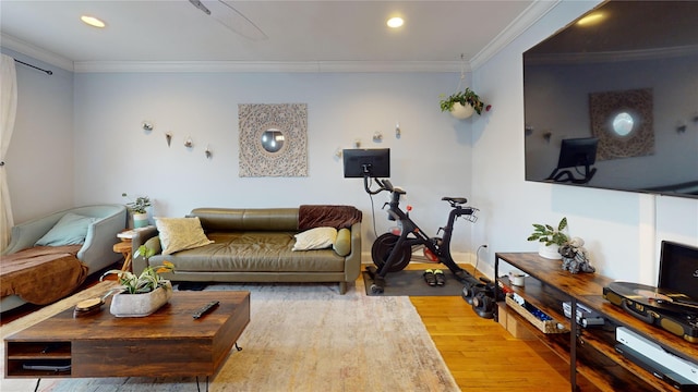 living room with ornamental molding and light wood-type flooring