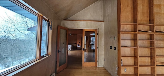 hall with lofted ceiling, plenty of natural light, and light hardwood / wood-style floors