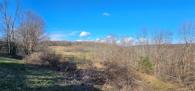581 Hessinger Lare Rd, Jeffersonville, NY 12748 - mountain view