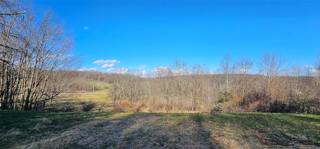 581 Hessinger Lare Rd, Jeffersonville, NY 12748 - mountain view with a heavily wooded area