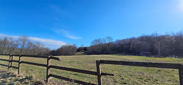581 Hessinger Lare Rd, Jeffersonville, NY 12748 - view of yard with a view of countryside and a view of trees