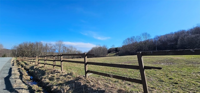 581 Hessinger Lare Rd, Jeffersonville, NY 12748 - view of yard featuring a rural view