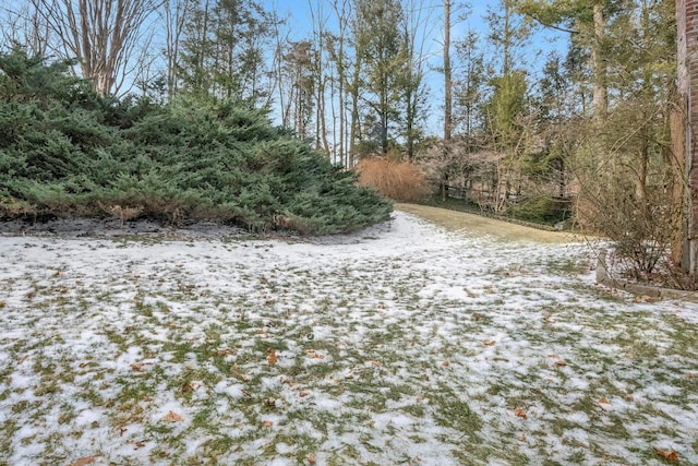 view of yard layered in snow