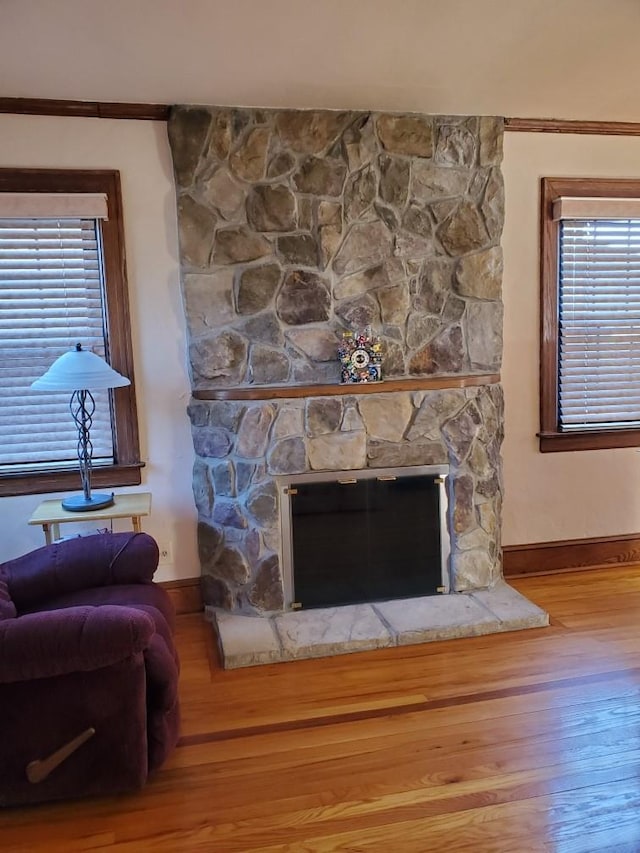 details featuring a fireplace and hardwood / wood-style floors