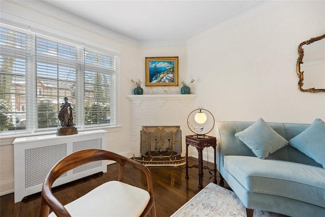 living area with dark wood-type flooring, radiator heating unit, and a fireplace