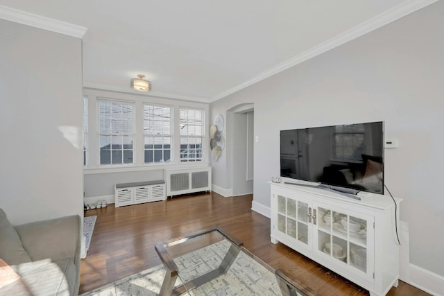 living room with dark wood-type flooring, radiator heating unit, and ornamental molding