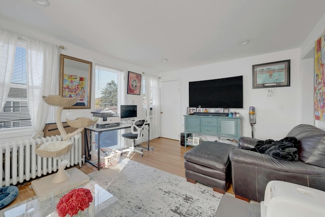 living room featuring radiator and light hardwood / wood-style floors