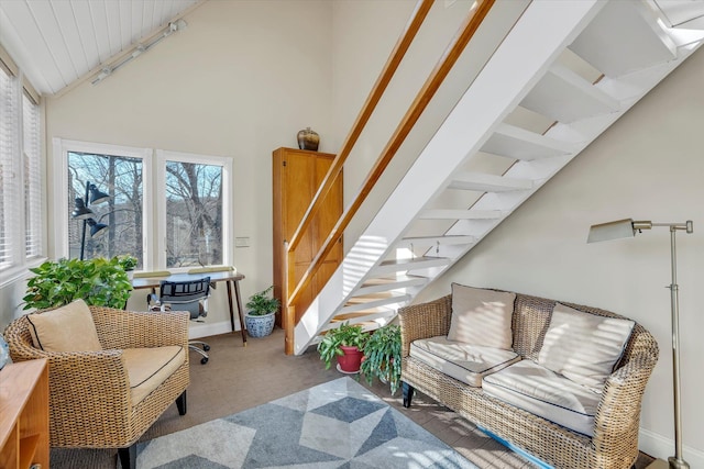 living room featuring carpet floors, high vaulted ceiling, and rail lighting