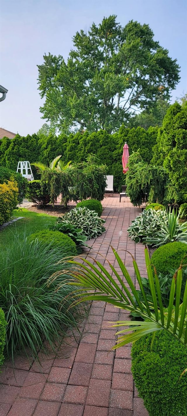 view of property's community featuring a patio