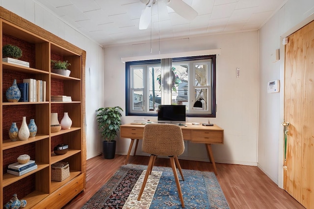 office featuring ceiling fan and light hardwood / wood-style floors