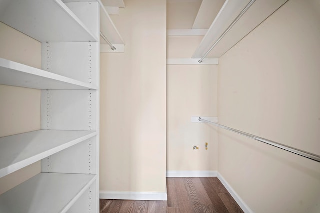 walk in closet featuring wood finished floors