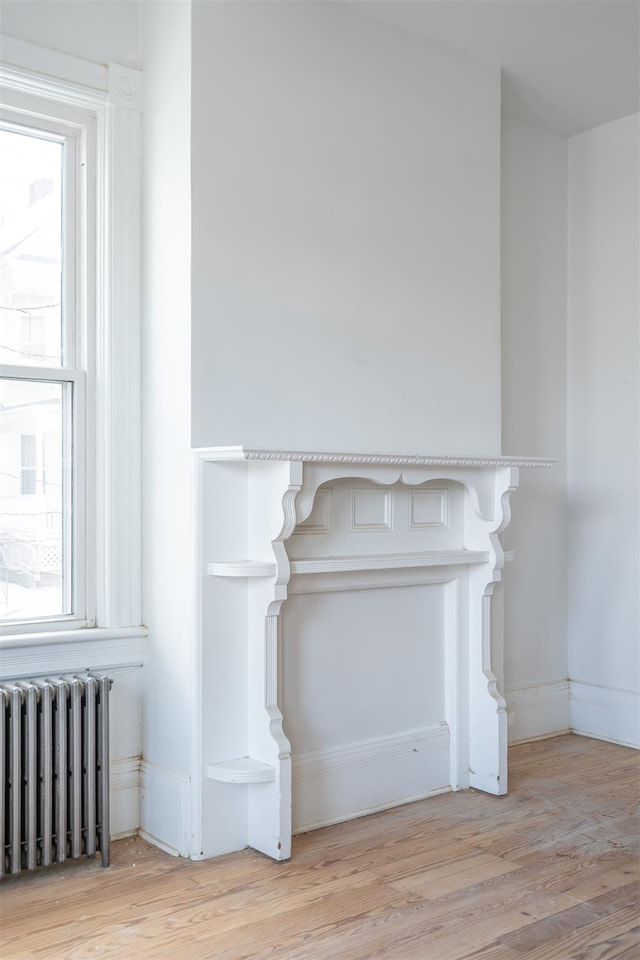 interior details with wood-type flooring and radiator