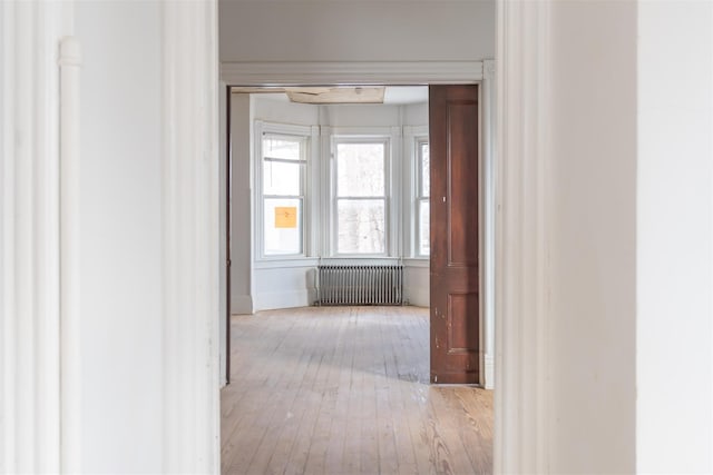 corridor featuring radiator heating unit and light hardwood / wood-style floors