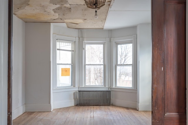 spare room with a healthy amount of sunlight, radiator heating unit, and light hardwood / wood-style floors