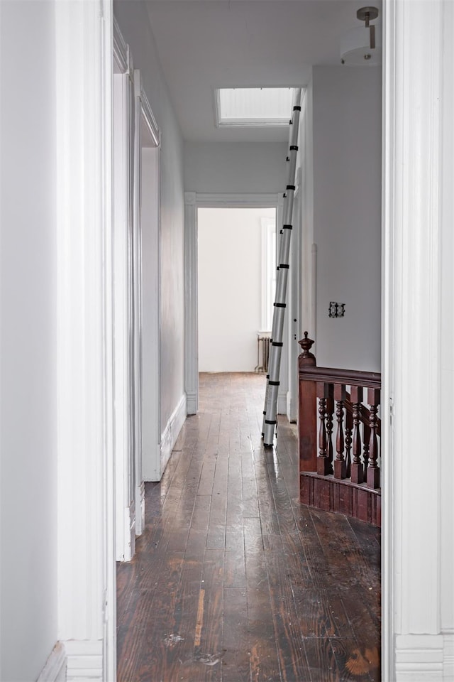 corridor with a barn door and dark wood-type flooring