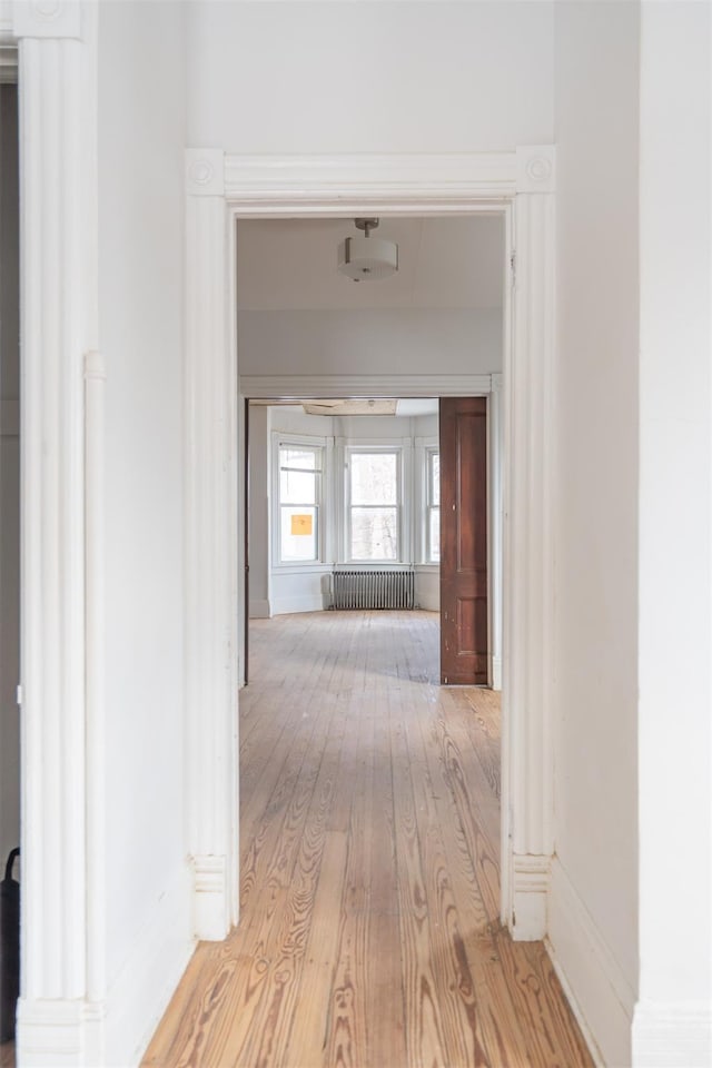 corridor featuring radiator heating unit and light hardwood / wood-style flooring