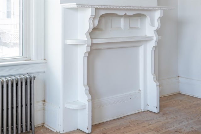 room details with radiator heating unit and wood-type flooring