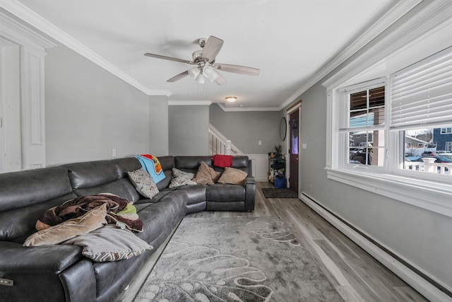 living room with a baseboard radiator, hardwood / wood-style floors, ceiling fan, and crown molding