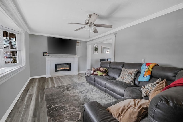 living room featuring ceiling fan, ornamental molding, and hardwood / wood-style floors