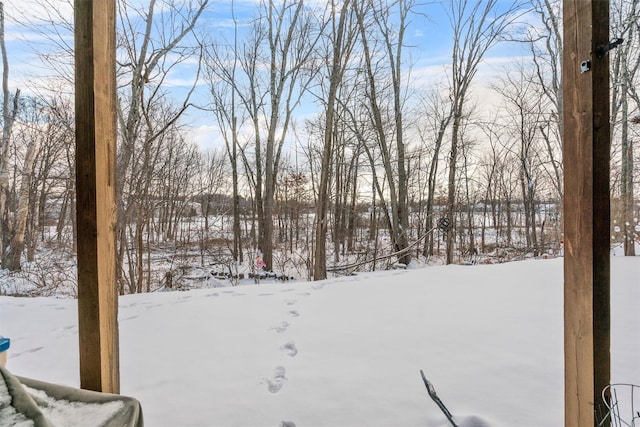 view of snowy yard