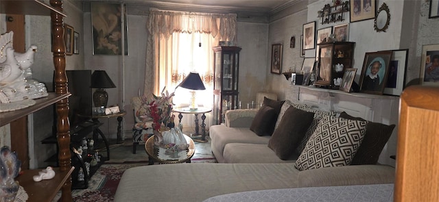 living room with crown molding