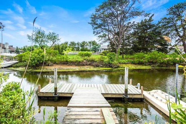 dock area with a water view