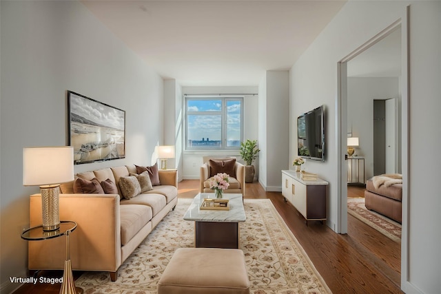 living room featuring hardwood / wood-style floors