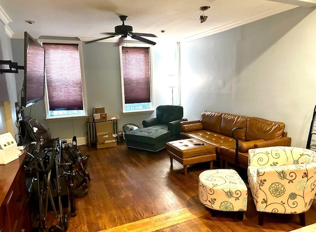 interior space with hardwood / wood-style floors, crown molding, and ceiling fan