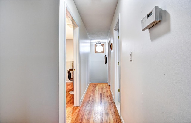 8 Lucky Ln, Washingtonville, NY 10992 - corridor with light wood-type flooring and baseboards