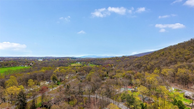 8 Lucky Ln, Washingtonville, NY 10992 - bird's eye view of a forest and mountains