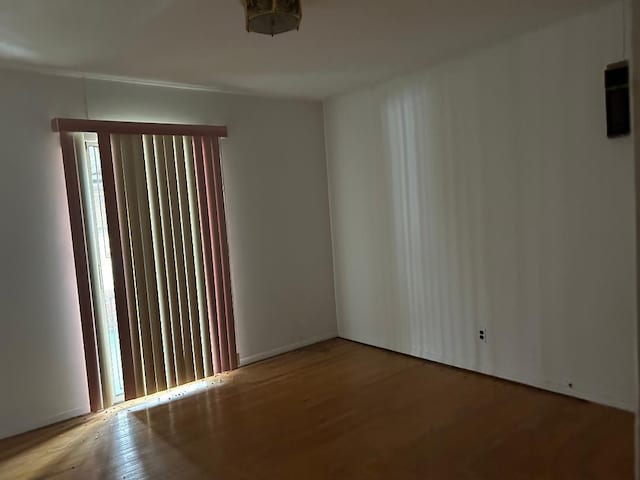 empty room with hardwood / wood-style flooring