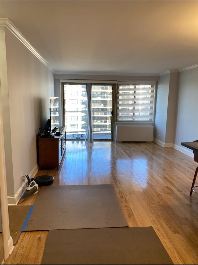 unfurnished room featuring light hardwood / wood-style flooring, ornamental molding, and plenty of natural light