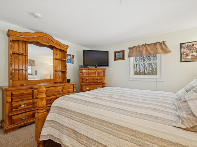 bedroom with carpet floors